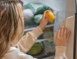 Ściana kapilarna z gliny chłodzona deszczówką – naturalny mikroklimat bez klimatyzacji