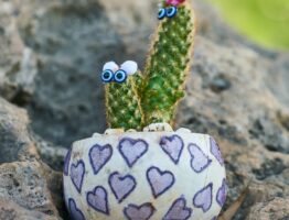 Hydroceramiczne panele donic z terakoty na balkon – zielona ściana, która chłodzi mieszkanie bez prądu