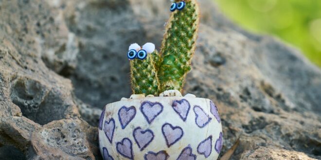 Hydroceramiczne panele donic z terakoty na balkon – zielona ściana, która chłodzi mieszkanie bez prądu