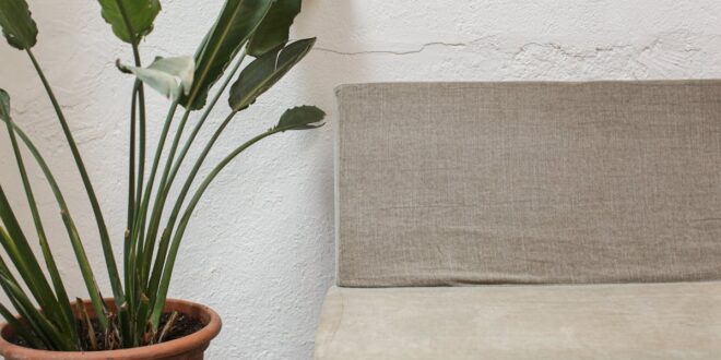 Nisze 2026: 14 ultra-rzadkich pomysłów do domu – gliniane ściany kapilarne, meble z grzybni i salon na prąd stały